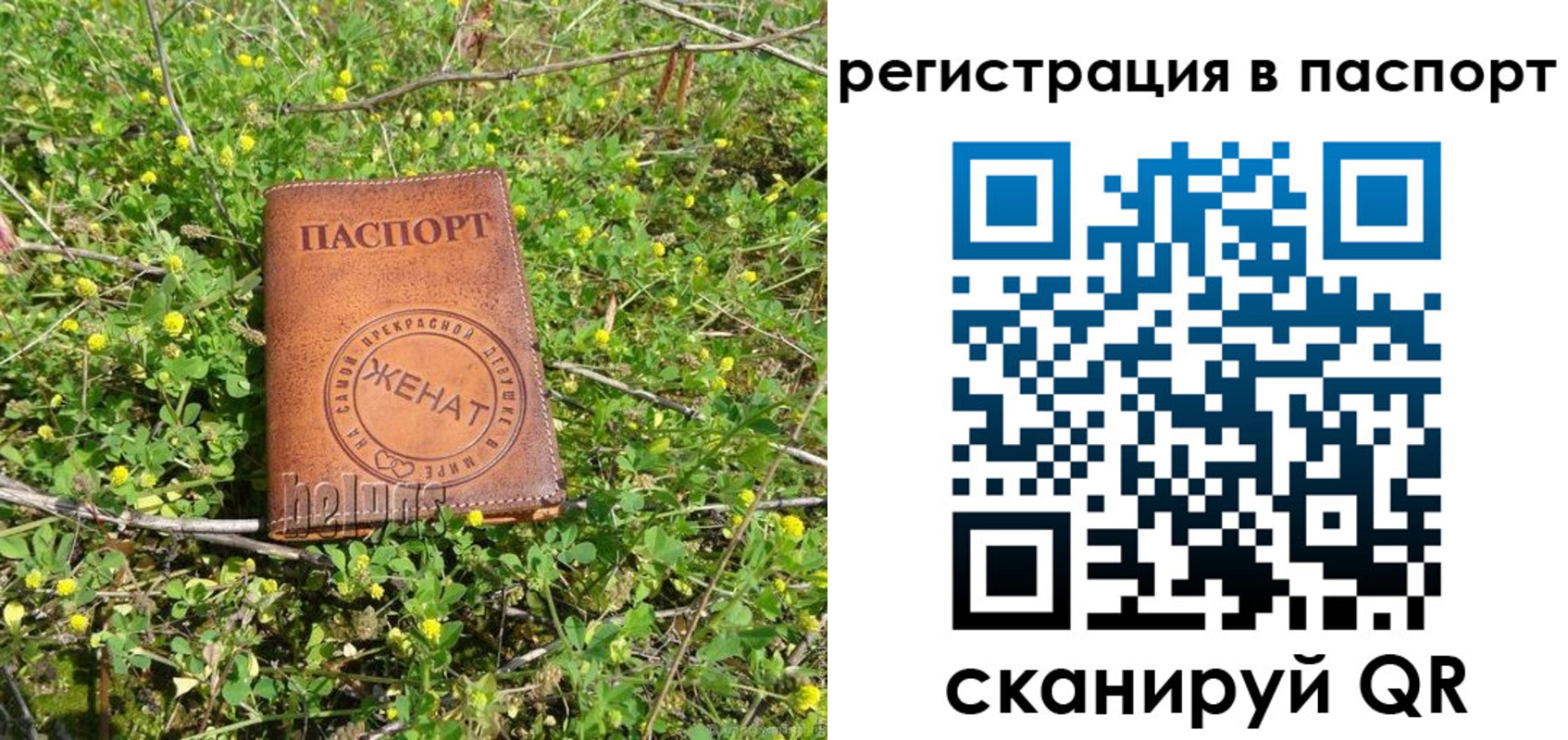 прописка законно в Поронайске